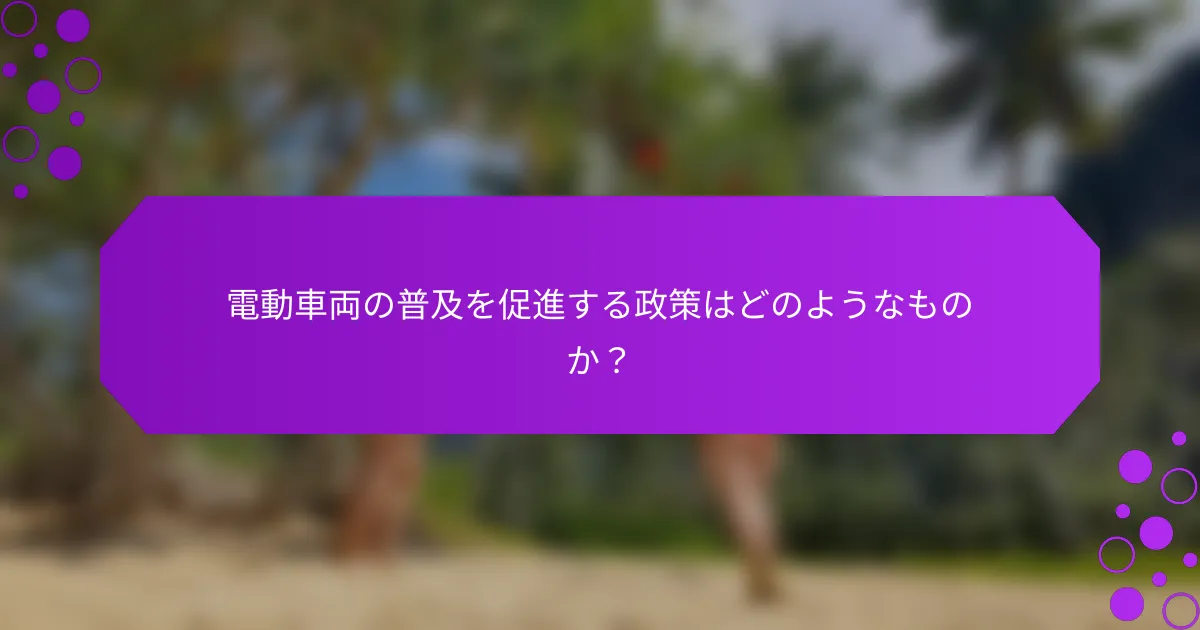 電動車両の普及を促進する政策はどのようなものか？