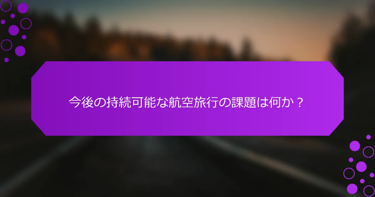 今後の持続可能な航空旅行の課題は何か？