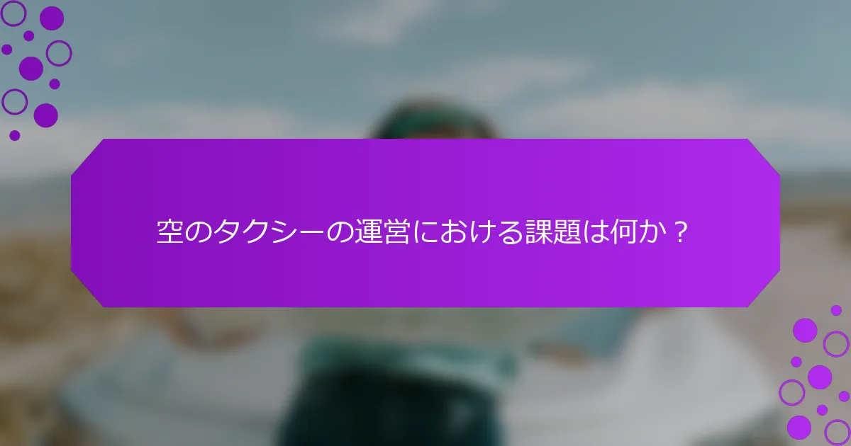空のタクシーの運営における課題は何か？