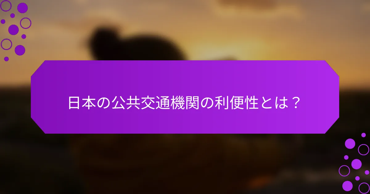 日本の公共交通機関の利便性とは？