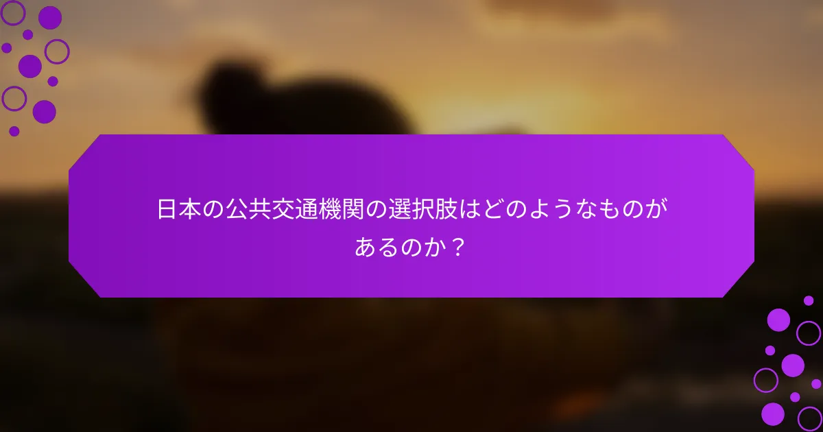 日本の公共交通機関の選択肢はどのようなものがあるのか？