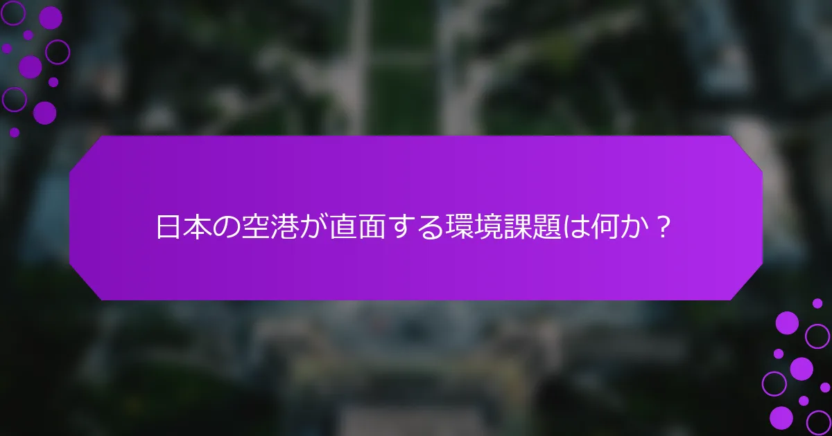日本の空港が直面する環境課題は何か？